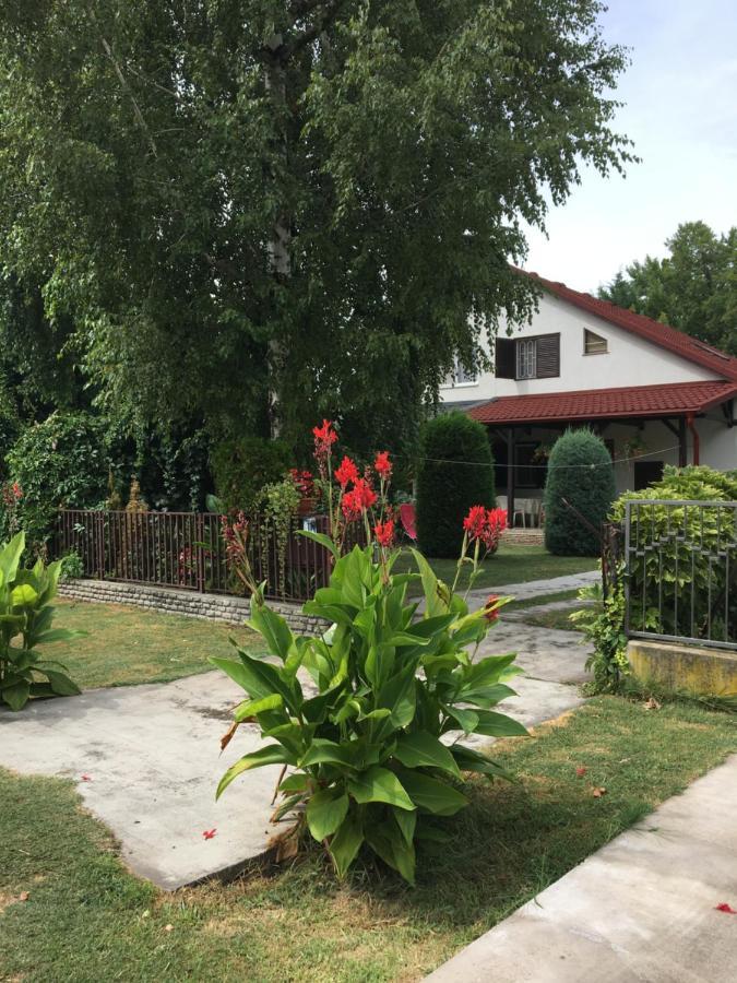 فيلا Rozsa Nyaralohaz Balatonboglár المظهر الخارجي الصورة