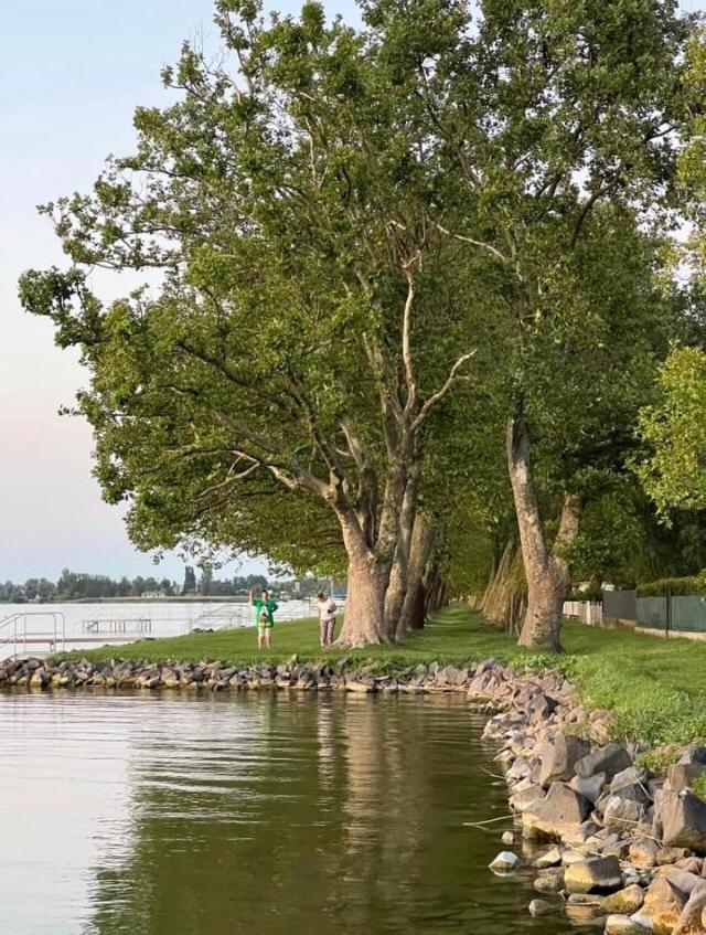 فيلا Rozsa Nyaralohaz Balatonboglár المظهر الخارجي الصورة