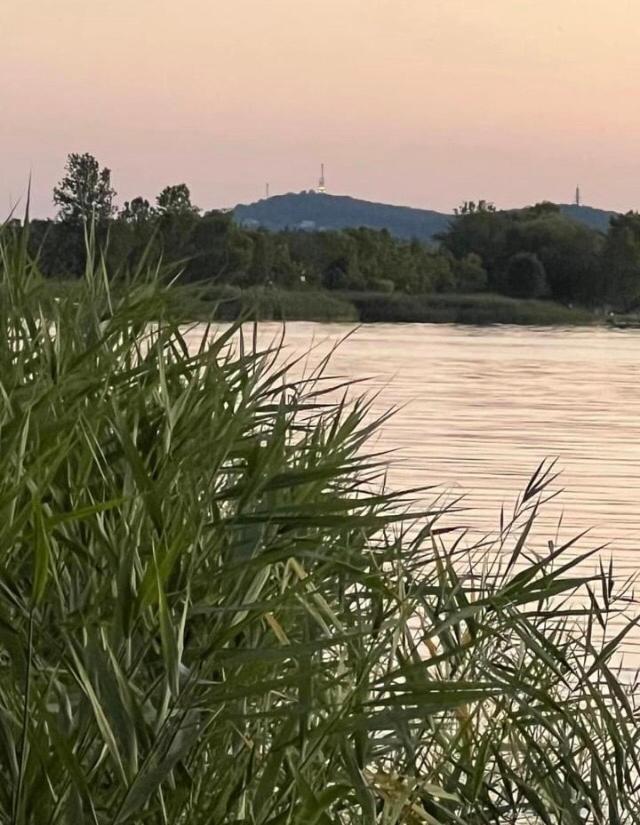 فيلا Rozsa Nyaralohaz Balatonboglár المظهر الخارجي الصورة